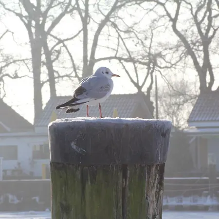 Feriehus Kleine Flucht *